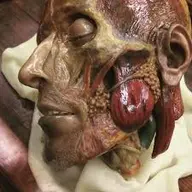 smith // 225x225 // 117KB