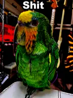 bird character:gogo_warren // 675x900 // 696KB