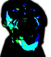 budgie // 383x428 // 43KB