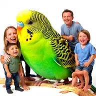 bird budgie meta:ai_generated // 512x512 // 542KB