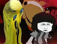 bird budgie no_lives_matter series:blessings // 796x612 // 569KB