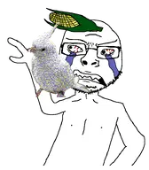 bu5t cockatiel // 649x741 // 31KB