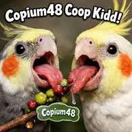 bird character:copium48 character:k00pkidd cockatiel meta:ai_generated // 1024x1024 // 1.8MB