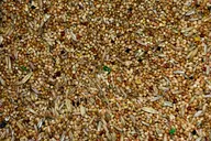 seeds // 996x664 // 268KB