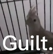 cockatiel eve // 1221x1262 // 346KB