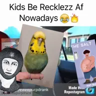 bird budgie character:connor's_budgie character:jeffy character:marvin meta:video no_lives_matter puppet series:sml // 480x480, 5s // 1.2MB