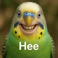 Ai budgie // 1024x1024 // 1.8MB