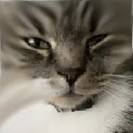 cat character:copiums_cat // 160x160 // 37KB