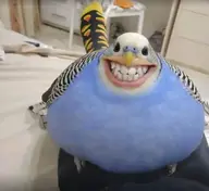 bird budgie meta:ai_generated // 1407x1289 // 1.1MB