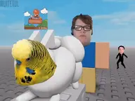 aethos bird brick_wall_landscape budgie character:bu5t character:connor character:george character:gubby meta:gif // 400x300 // 4.1MB