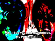 budgie Mgk // 2048x1536 // 1.1MB