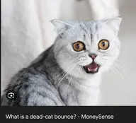 cat thumbnail // 572x517 // 30KB