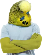 Bird budgie character:dirt transparent // 300x391 // 150KB