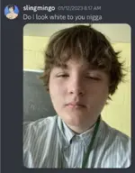 character:slingmingo screenshot // 532x680 // 341KB