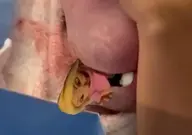 series:sml // 490x344 // 151KB