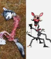 character:manglegirl gore // 1053x1228 // 147KB