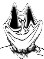 soon soyjak // 191x255 // 9.2KB