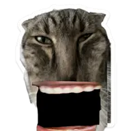 cat character:copiums_cat transparent // 1440x1440 // 887KB