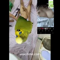 aethos budgie character:copium48 character:datbeheading character:dirt Gore Linux_Mint meta:video series:asdf's_endless_muffin_time // 480x480, 18.5s // 3.7MB