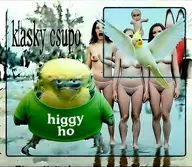 bird budgie character:julian_splaat cockatiel cp reaction_image // 512x444 // 356KB