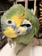 bird // 3024x4032 // 1.1MB