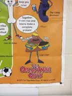 character:calci_m._bone character:luigi_liver character:the_kidney_brothers series:organwise_guys // 900x1200 // 128KB