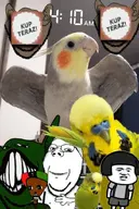 Bird budgie character:bu5t character:connor character:copium48 character:jot character:klaask cockatiel combination_style corn series:blessings Soyjak // 548x823 // 574KB