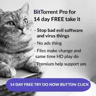 cat // 1024x1024 // 131KB