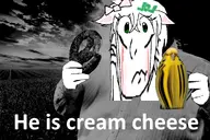 bird budgie character:connor's_budgie character:manglegirl // 1000x667 // 531KB